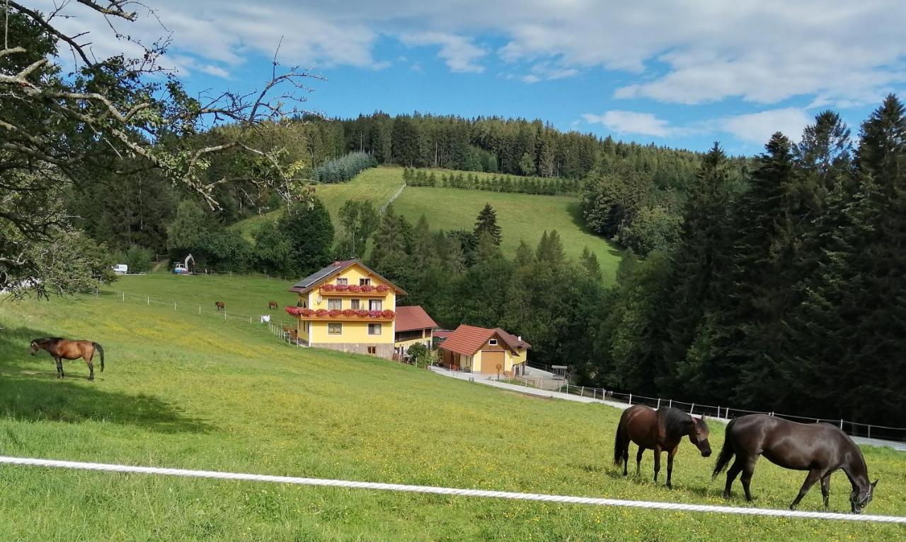 Farm stay Urlaub Am Bauernhof Familie Kitting