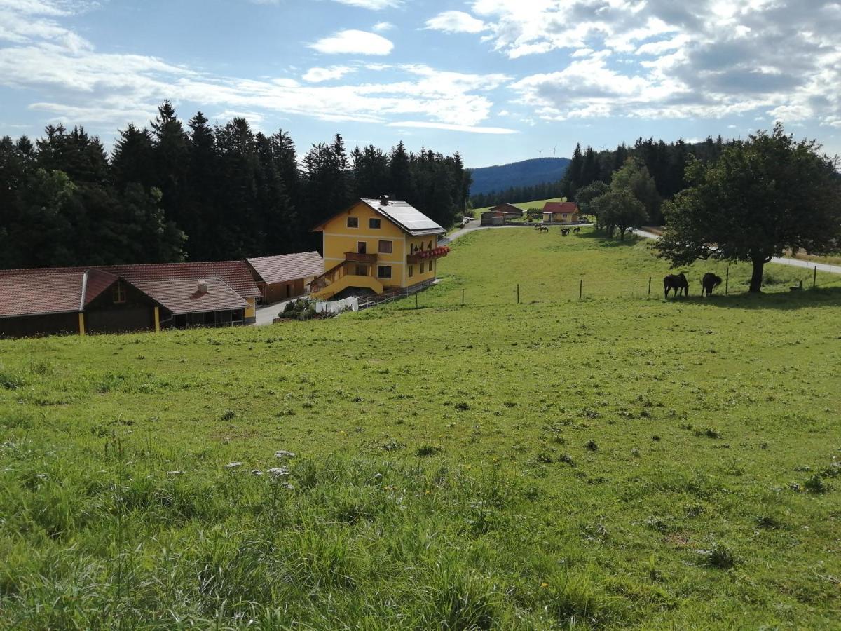Urlaub Am Bauernhof Familie Kitting Farm stay