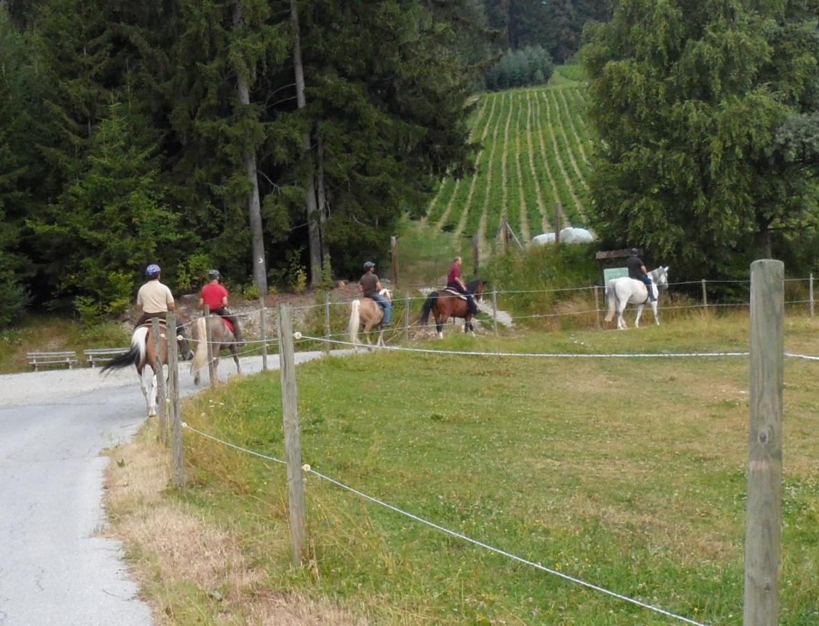 Urlaub Am Bauernhof Familie Kitting * Vorau